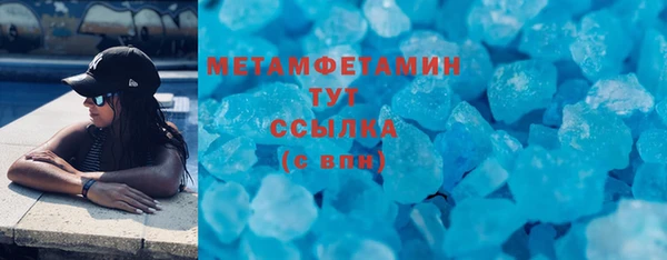 прущие грибы Бронницы