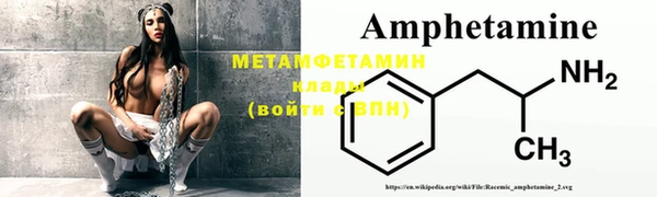 прущие грибы Бронницы