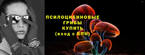 прущие грибы Бронницы
