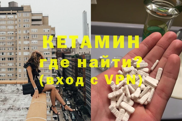 прущие грибы Бронницы