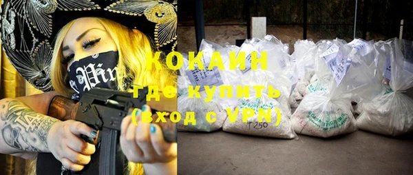 прущие грибы Бронницы