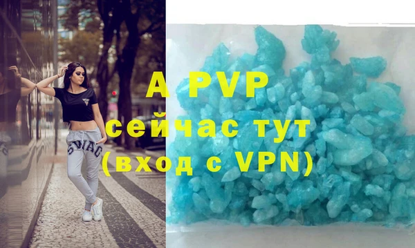 прущие грибы Бронницы