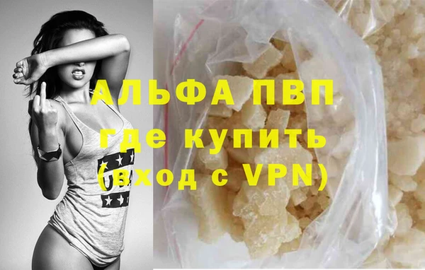 прущие грибы Бронницы
