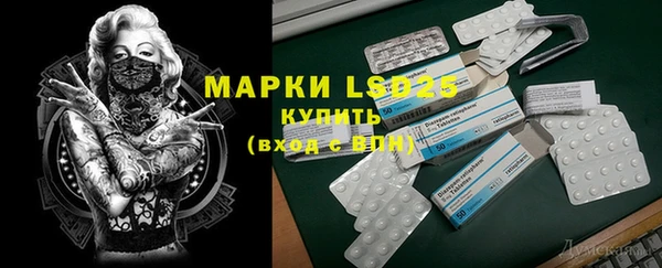 прущие грибы Бронницы